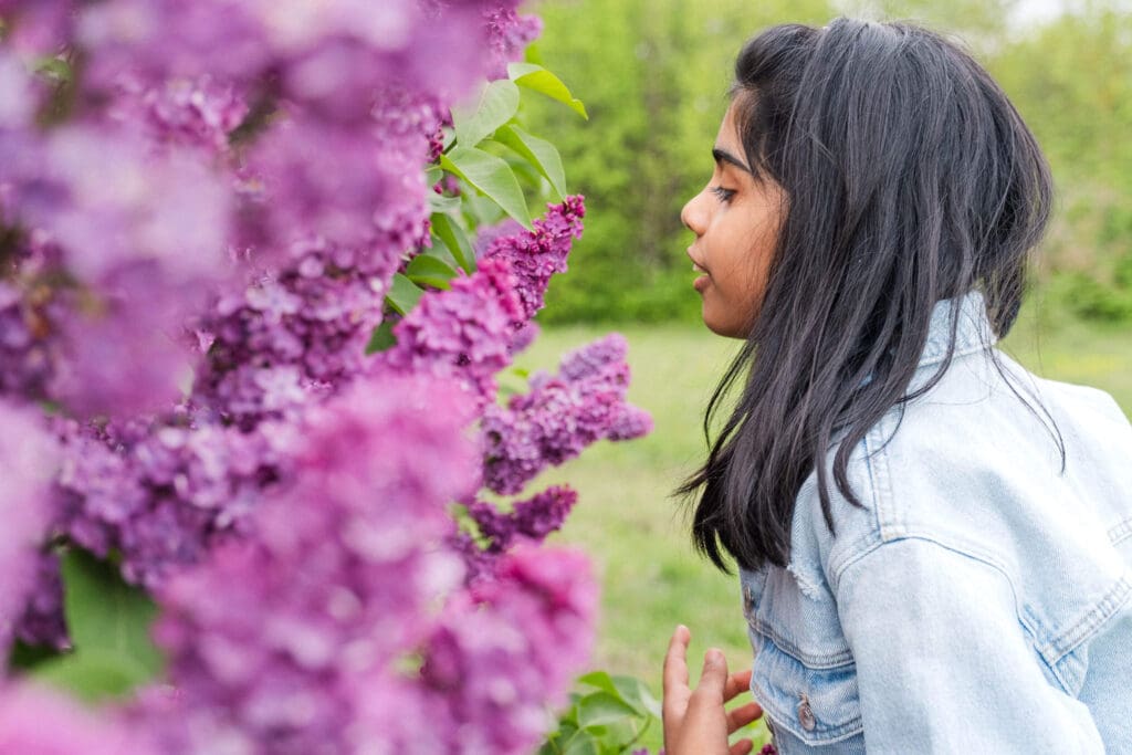 Girl leans forward to smell vibrant purple lilac bushes.