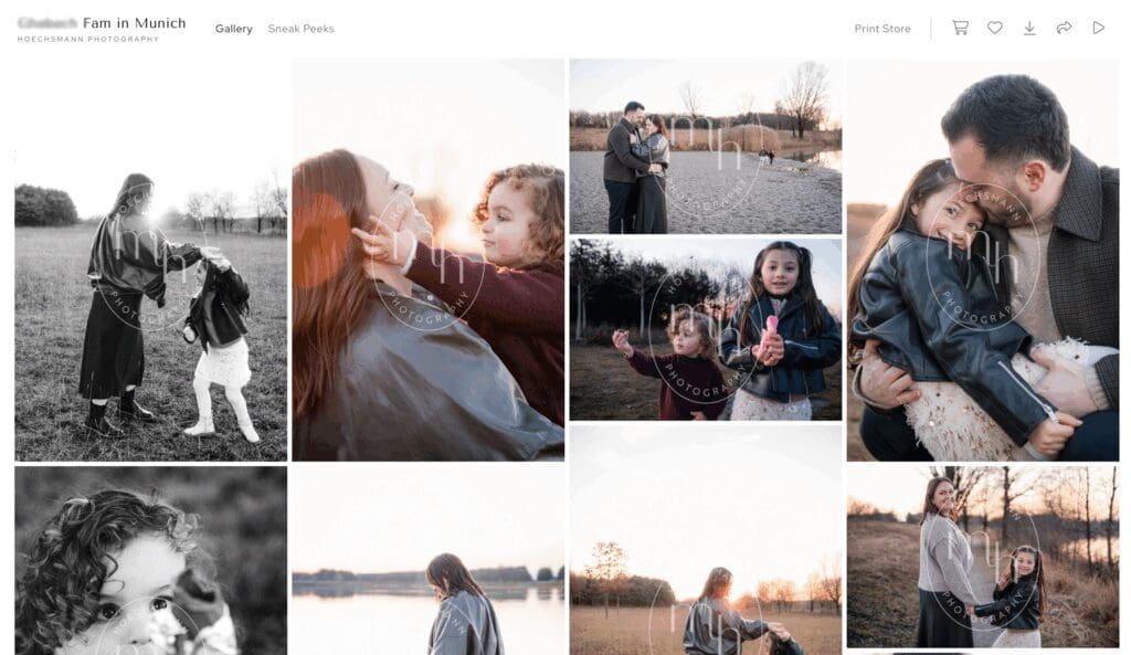 Grid of images as preview of an online photo gallery software