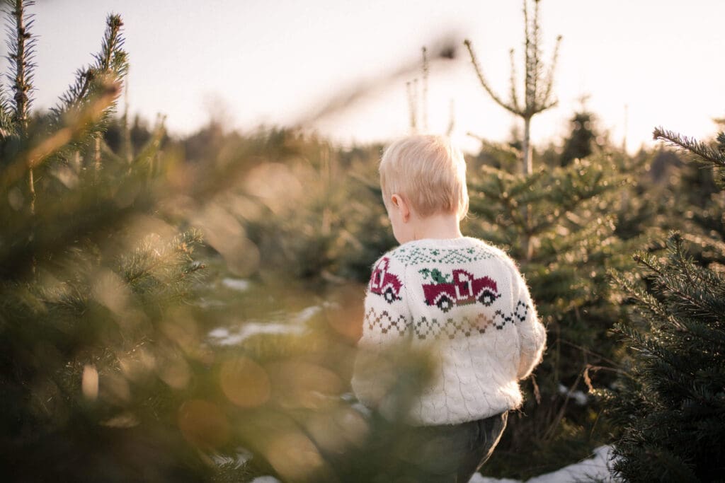 Toddler in a Christmas sweater wandering between the trees during a holiday family session in Munich